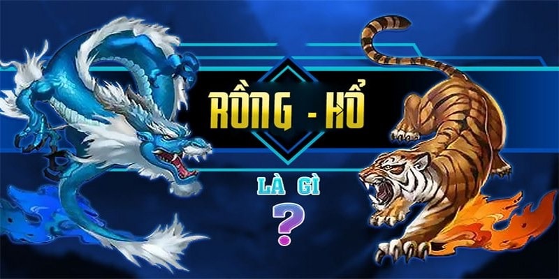 Rồng Hổ 333Win Là Gì?